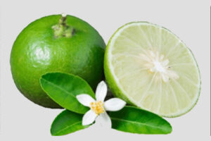 WhatsApp Image 2023-06-30 at 10.16.51 AM