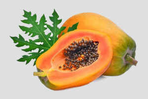 papaya